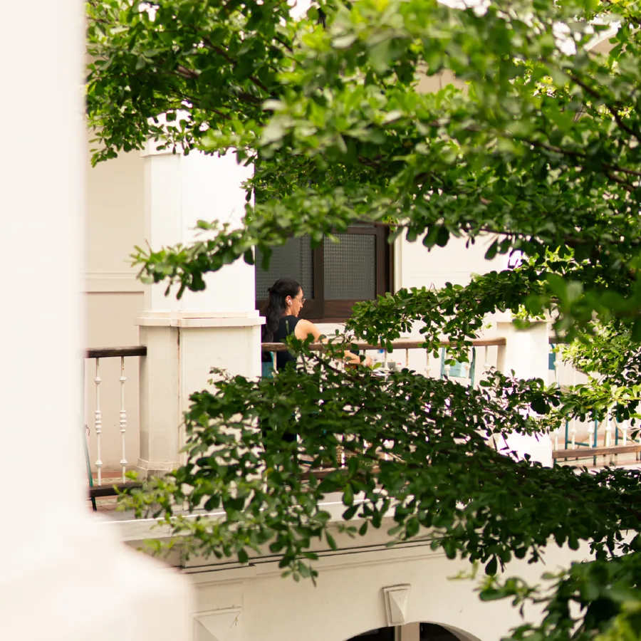 The upper balcony, seen through the courtyard tree